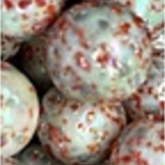 Konfetti roze 16mm