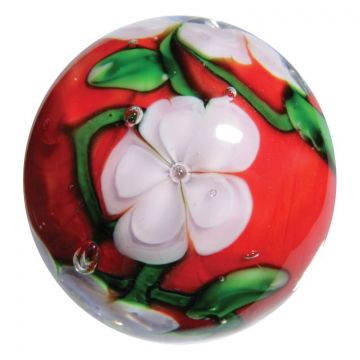 Chrysanthemum 16mm