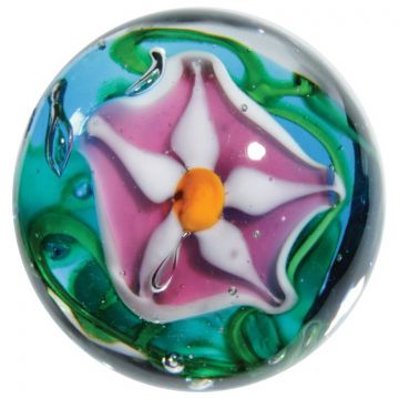 Stargazer 16mm