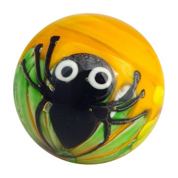 Spinne 16mm