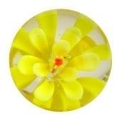Stockrose - gelb 22mm