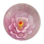 Stockrose - rosa 16mm