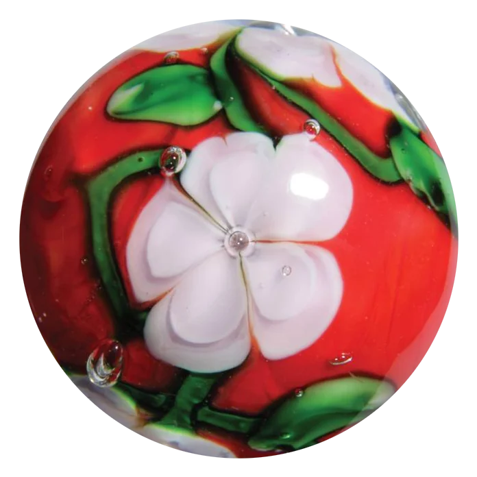 Chrysanthemum 16mm