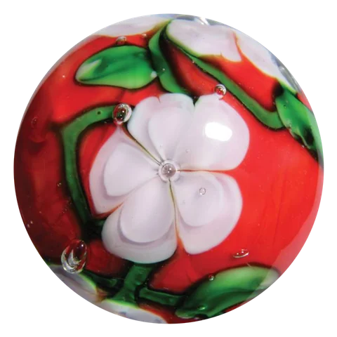Chrysanthemum 16mm