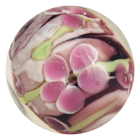 Protea 22mm