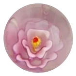 Stockrose - rosa 16mm