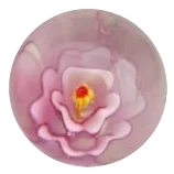 Stockrose - rosa 22mm